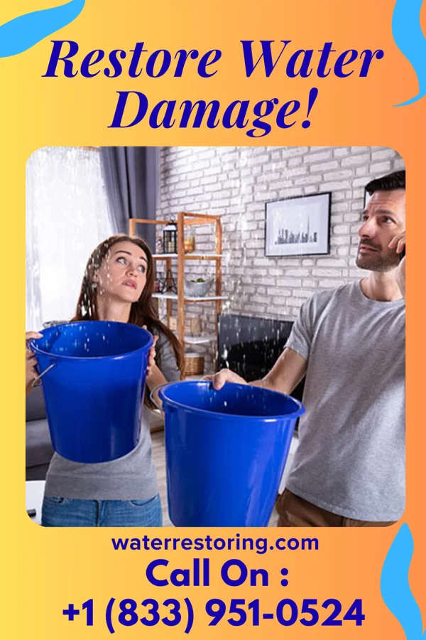 water restoration Platinum Damage Recovery Co Mantachie