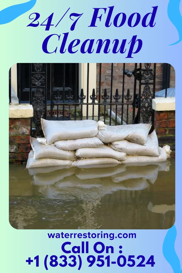 24/7 Flood Cleanup in Mantachie, MS
