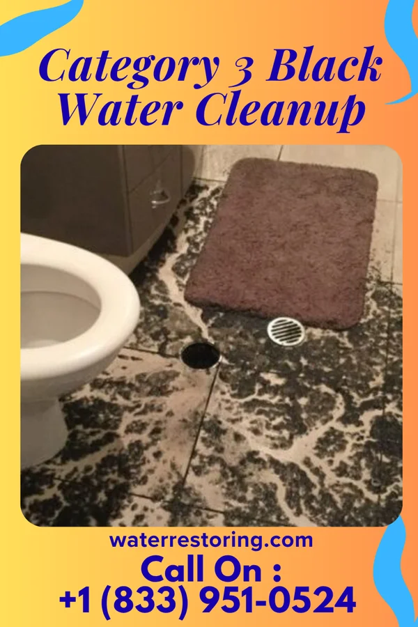 Category 3 Black Water Cleanup in Mantachie, MS