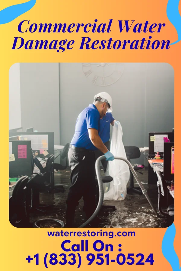 Commercial Water Damage Restoration in Mantachie, MS