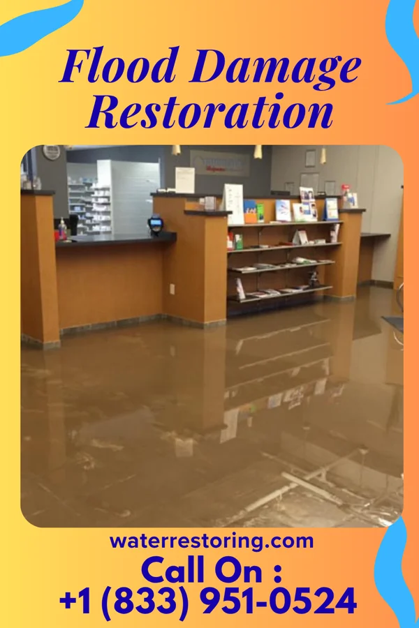 Flood Damage Restoration in Mantachie, MS