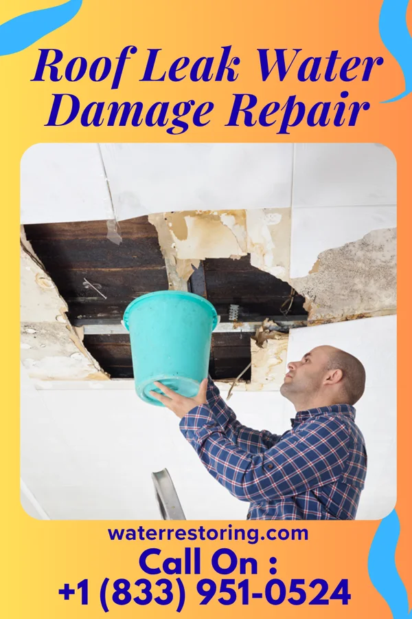 Roof Leak Water Damage Repair in Mantachie, MS