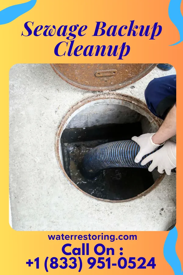 Sewage Backup Cleanup in Mantachie, MS